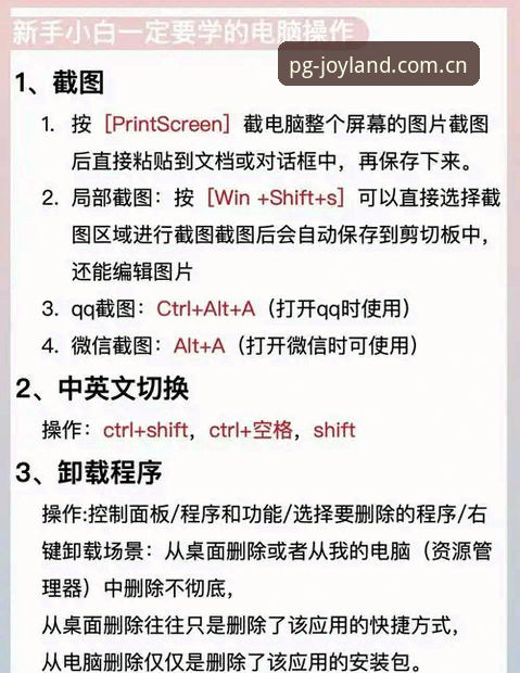 PG电子电脑版下载完整使用指南：从入门到精通的操作手册